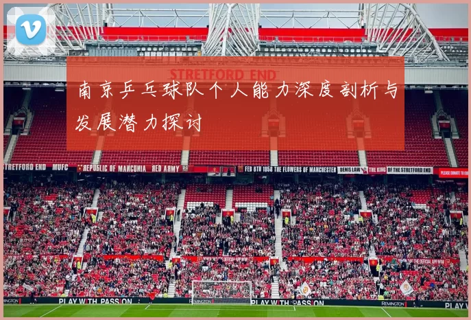 南京乒乓球队个人能力深度剖析与发展潜力探讨